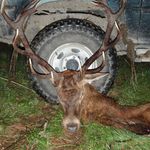 Luke Romano - @lukeromano_outdoors - Instagram