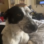 Luke_Roper - @luke_roper16 - Instagram