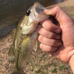 Luke - @luke_rowell_09 - Instagram