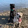 Rue & Luke - @rueandluke - TikTok