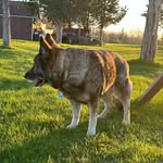 Luke Rutledge - @lukerutledge53 - Instagram