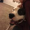lukesager_07 - @mr.lg447 - TikTok