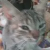 Luke Aldana Salas - @luke.aldana.salas - TikTok