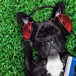 Luke Sandoval - @luke.sandoval.12914 - Instagram