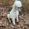 Luke Schiller - @luke.schiller2 - TikTok