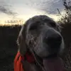 Luke Schultz - @lschultz3 - TikTok