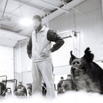 Luke Sharp - @luke.sharp43 - Instagram