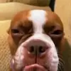 Luke Sherman - @luke.sherman10 - TikTok