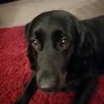 luke Shipley - @shipley.luke - Instagram