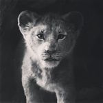 luke simard - @simard.luke - Instagram