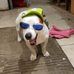 Luke Simcock - Facebook