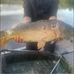 Luke Simons - Facebook