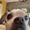 Luke Simons - @luke.simons1 - TikTok