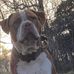 Luke Simpson - Facebook