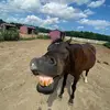 Luke - @lukesinclair18 - TikTok
