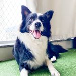 Luke - @luke.skyluke - Instagram