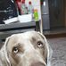 Luke Sky - Facebook