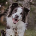 Luke & Anya 🎈 - @luke.skyborder - Instagram