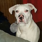 Lucky Slocum-Anthony - Facebook