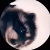 luke.small - @luke.small - TikTok