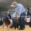 Luke Snodgrass - @bigsnoddy - TikTok