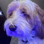 Luke speedy - @luke_speedy1 - Instagram