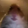 LUKE Spiers - @bignor_suiiiii - TikTok