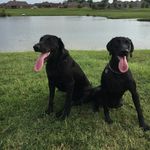 luke_stanley - @luke_stanley - Instagram
