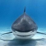 Luke Stark - @luke.starky - Instagram