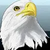 Luke Stern - @luke.stern - TikTok