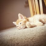 Luke Sternquist - @lukesternquist - Instagram