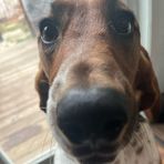 Luke Stockwell - Facebook