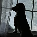 Luke Stockwell - @l_stockwell75 - Instagram