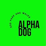 Lord Luke Stringer - @alpha_dog_park_and_walks_ - Instagram