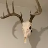 LukeStringer3 - @lukestringer33 - TikTok