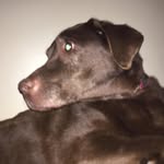 Luke Talbert - @ljtalbert2009 - Instagram