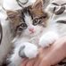 Luke Thao - Facebook