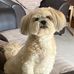 Luke Thorpe - Facebook
