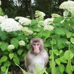 luke tobin - @luketobin - Instagram