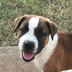 Luke Tompkins - @luke.tompkins.526 - Instagram