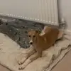 Luke Tompkins - @luke.tompkins2 - TikTok