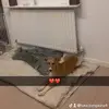 Luke Tompkins - @luke.tompkins4 - TikTok