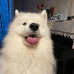 DengXiang - @luketong_32 - Instagram