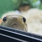 Luke Tracey - @laughingjoker54321 - Instagram