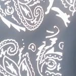 Luke Tracey - @lxtrace_e - Instagram
