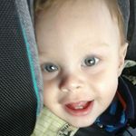 luke trask - @traskluke - Instagram