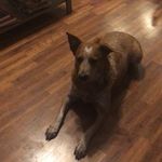 Luke Trout - @luketrout15 - Instagram