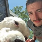 Luke Tunstall - @luke_tunstall - Instagram