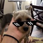 Luke varnell - @luke.varnell - Instagram