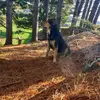 Luke Wade - @wadee.wadem591 - TikTok